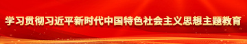 大鸡巴操馒头B视频学习贯彻习近平新时代中国特色社会主义思想主题教育